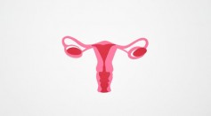 What Is Uterus Didelphys? Weird Anatomical Anomaly Affects a Mom From Hampshire