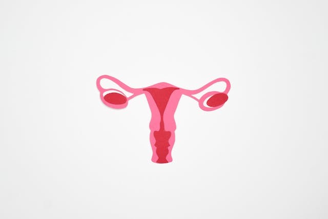 What Is Uterus Didelphys? Weird Anatomical Anomaly Affects a Mom From Hampshire