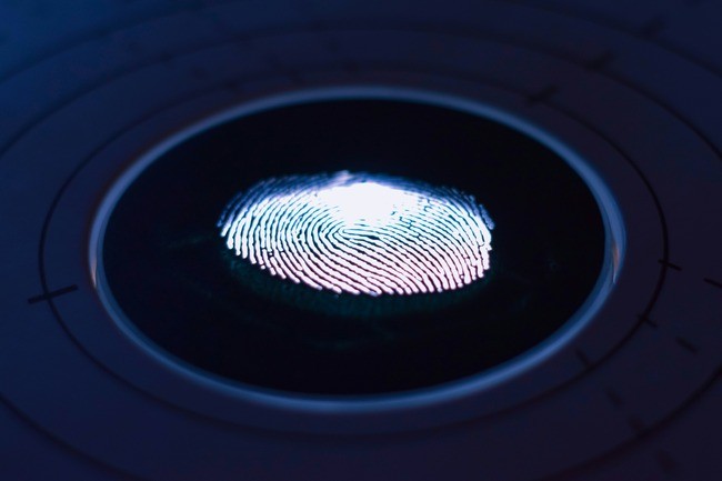  Fingerprint Detection Enhanced by New Manganese-Doped Iron Oxide Nanoparticles