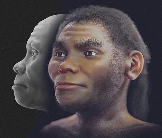 World's First Human Looked 'Strong and Serene' After Facial Reconstruction From Ancient Skull