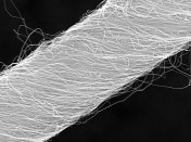 Carbon Nanotubes' Twisting Weakness Unveiled as New Study Reveals Impact of Disclinations on Mechanical Strength