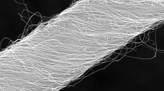 Carbon Nanotubes' Twisting Weakness Unveiled as New Study Reveals Impact of Disclinations on Mechanical Strength