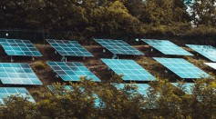 blue solar panels on green trees during daytime