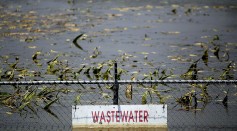 Bacteria in Wastewater Could Help Solve the World's Plastic Pollution Problem