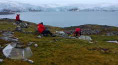 Rapid Warming in Antarctica Sees Vegetation Growth Expand Tenfold Since 1986