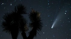 Two Distant Comets Will Light Up the Sky Just Before Halloween