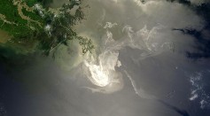 NASA's Terra Satellites Sees Spill on May 24, 2010