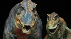T-Rex as the most feared predator of all dinosaurs in the movie Jurassic Park