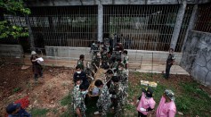 Wildlife Officials Raid Controversial Tiger Temple In Thailand