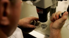 Embryologist Ric Ross examines a dish with human embryos under a microscope at the La Jolla IVF Clinic February 28, 2007 in La Jolla, California. 