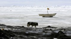 U.S. Scientists Study Possible Global Warming Effects In Alaska