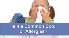 Is it a Common Cold or Allergies?