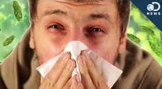 Runny Nose Mucous Can Determine Cold or Flu Viral Infection