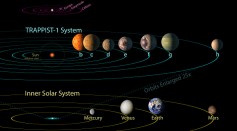 NASA digital illustration handout released on February 22, 2017, all seven planets discovered in orbit around the red dwarf star TRAPPIST-1