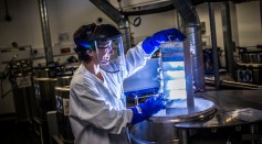 A scientist at the Cancer Research UK Cambridge Institute