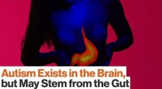Gut bacteria affects the brain 
