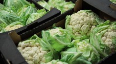 Boxes of cauliflower are packaged for sale at the New Covent Garden fruit and vegetable wholesale market, Nine Elms on February 4, 2017 in London, England. 