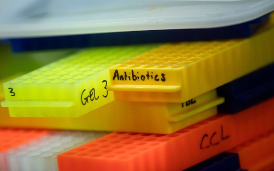 Trays, included one labeled with 'antibiotics' sit after being used in experiments at the new laboratories inside the Francis Crick Institute in London, U.K., on Thursday, Sept. 1, 2016.