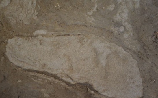 A 5000-year-old human footprint discovered on Danish island of Lolland.