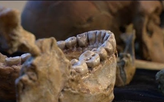 Earliest Kind Homo Sapiens Fossils Discovered in Morocco