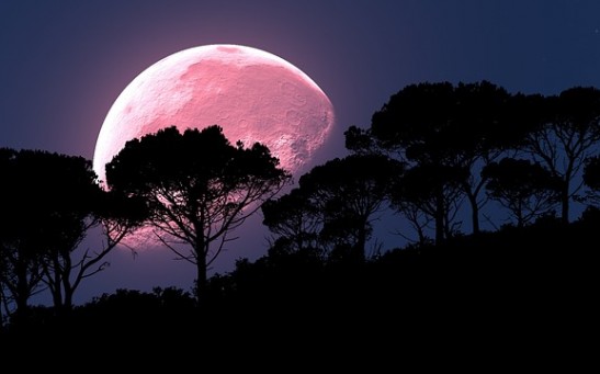 Artist Rendition of Pink Moon