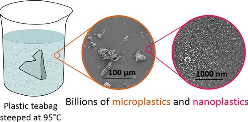 Microplastics and nanoplastics get mixed in with your tea at brewing points. 