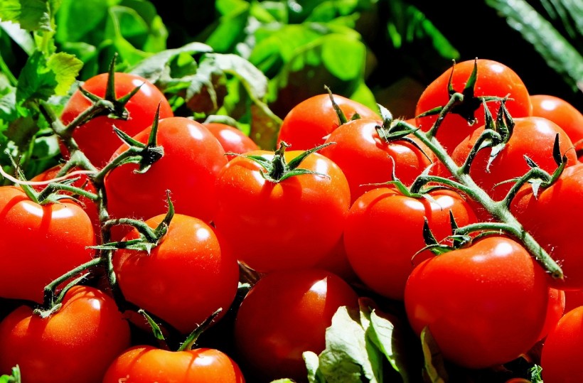 One of the fruits that the researchers were able to harvest from lunar and Martian soil was tomatoes.