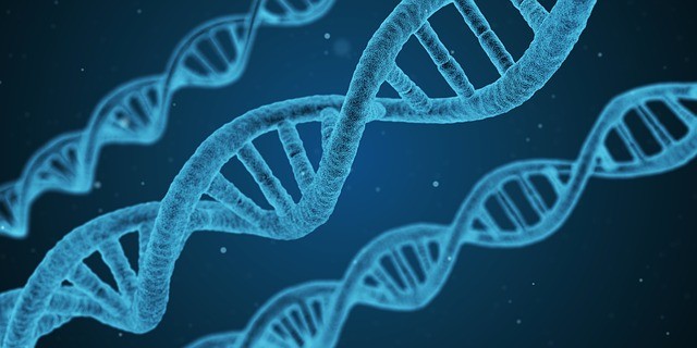 DNA and Rare Genetic Diseases