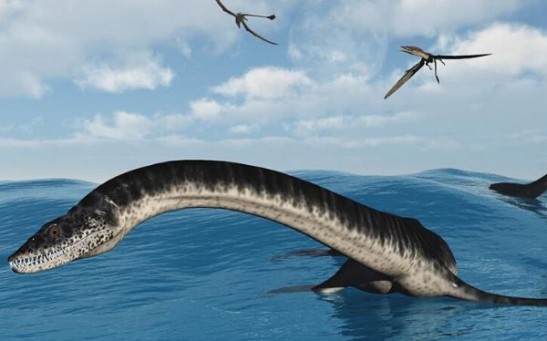 The Bones of Aquatic Reptiles Were Solely Evolved for Swimming in Prehistoric Seas