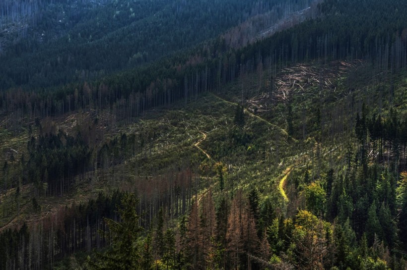 Deforestation and Landscape Change