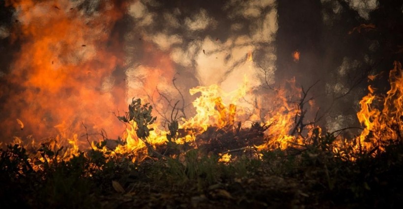 The Serious Effects of Wildfires on Water and the Environment