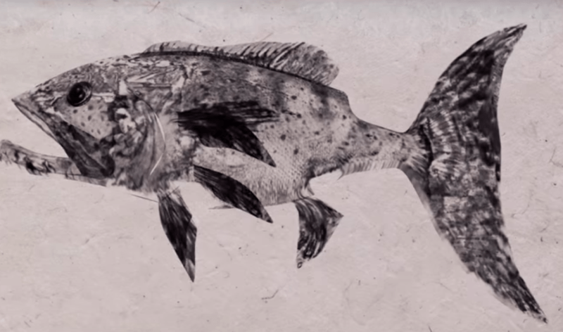 The Japanese Art of "Gyotaku" Captured Records of Biodiversity: Fusion of Art and Science