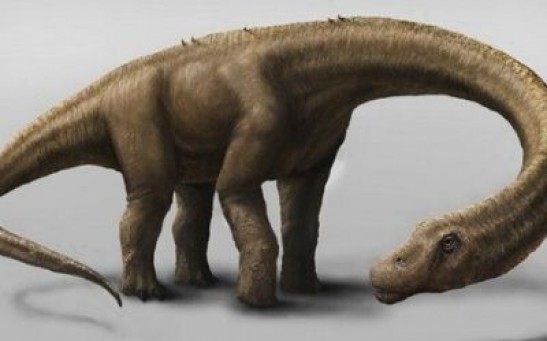 Sauropod Dinosaurs Just Got Gigantic, a Supermassive Leviathan of Long-Necks Called Dreadnoughtus Schrani Is Mind-Boggling