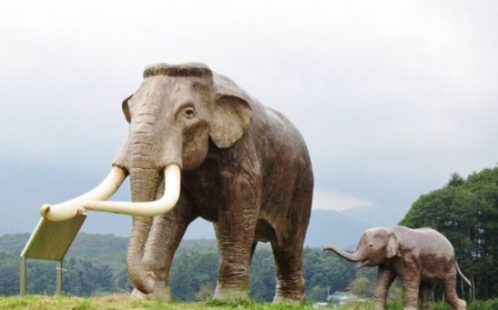 How Did the Palaeoloxodon Evolve, a Straight-Tusked Elephant According to Scientists