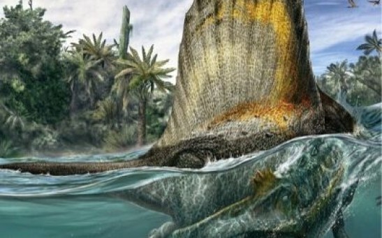 Spinosaurus Aegyptiacus a Massive Carnivore Was Able to Swim and Eat Fish, Unlike Other Meat-Eating Dinosaurs