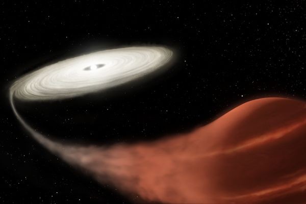  Kepler Discovers a White and Brown Dwarf Star Binary Pair That Gives off a Rare Outburst Event