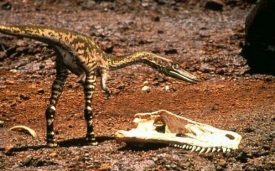 Dinosaurs Left Their Footprints in a Scorched Earth and That Had Stages of Death and Rebirth in the Jurassic Epoch