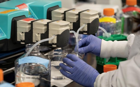 A scientist conducts research on a vaccine for the novel coronavirus (COVID-19) at the laboratories of RNA medicines company Arcturus Therapeutics in San Diego, California, U.S., March 17, 2020