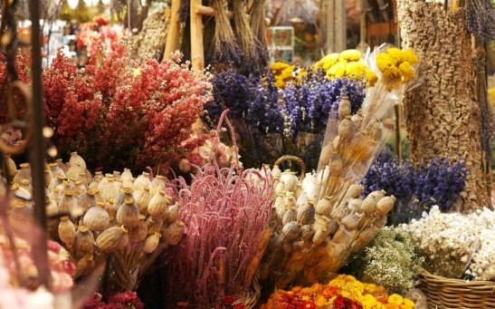 Make Mother's Day Special With These Newest Flower Trends: Dried Flowers!