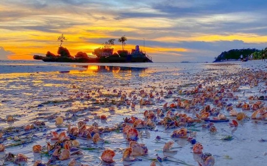 Happy As A Clam: Boracay Beach Front Covered in Clams Has Caught the Attention of Netizens in Social Media 