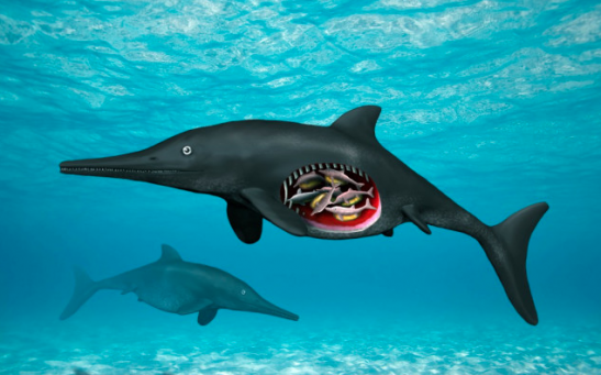 Martina the Ichthyosaur: 246 Million-Year-Old Pregnant Fossil From Reno, a City of Beer and Paleontology