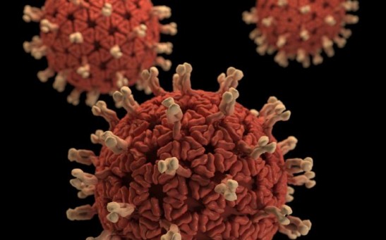 Scientists Create A Mutant Rotavirus in a Virus Assembly Study