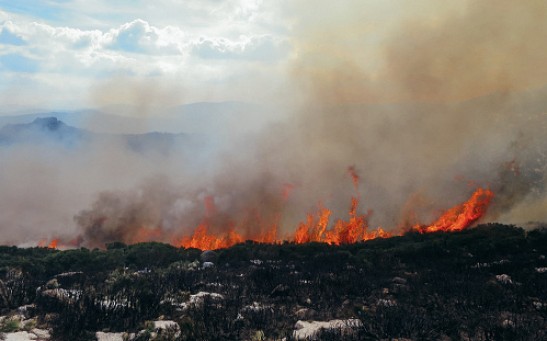 ‘Impossible' Arctic Wildfires Emerged Due to Global Warming