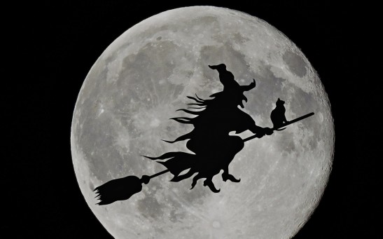 Witches Band Together On Tiktok  to Hex the Moon: Did They Succeeded?