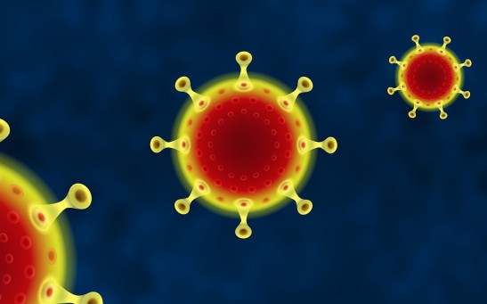 coronavirus immunity antibodies