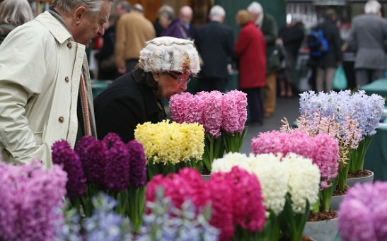 Exhibitors Display At The RHS Great London Plant Fair