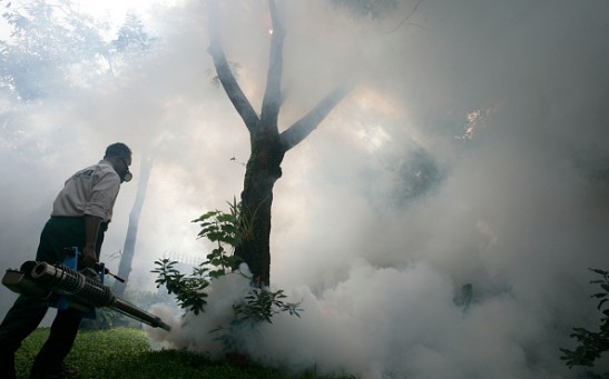 Outbreak Hits Jakarta