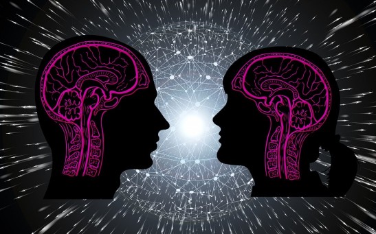 Science Times - Scientists Found No Difference in Men and Women's Brains After 100 Years of Searching 