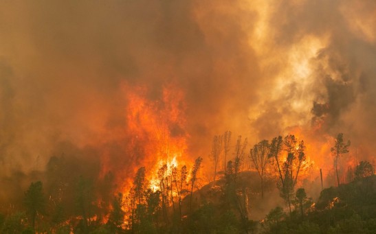 California Wildfire Worsens Due to A Gender Reveal Party