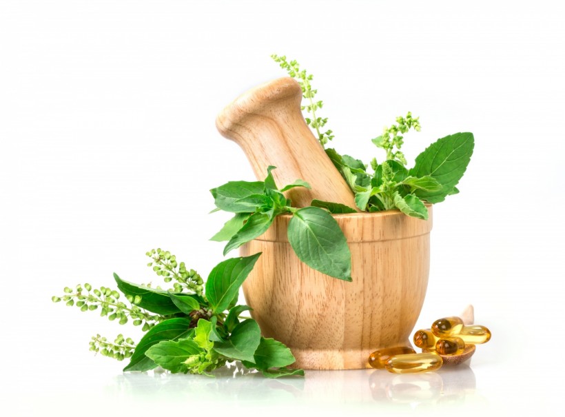 10 Popular Herbs Used As Health Supplements